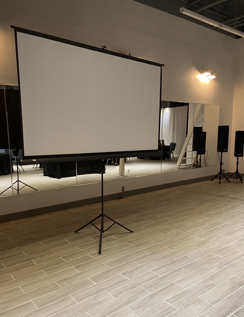Projector and projector screen
